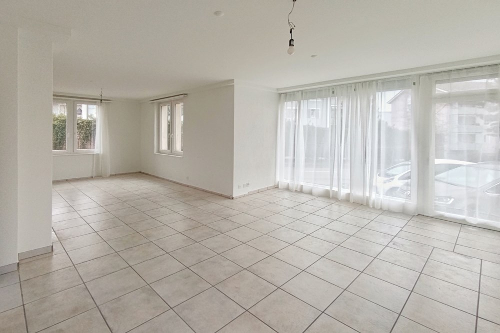 Mehrfamilienhaus - Kauf - Dottikon, Aargau - IMG_7784.JPG - 110050039-76