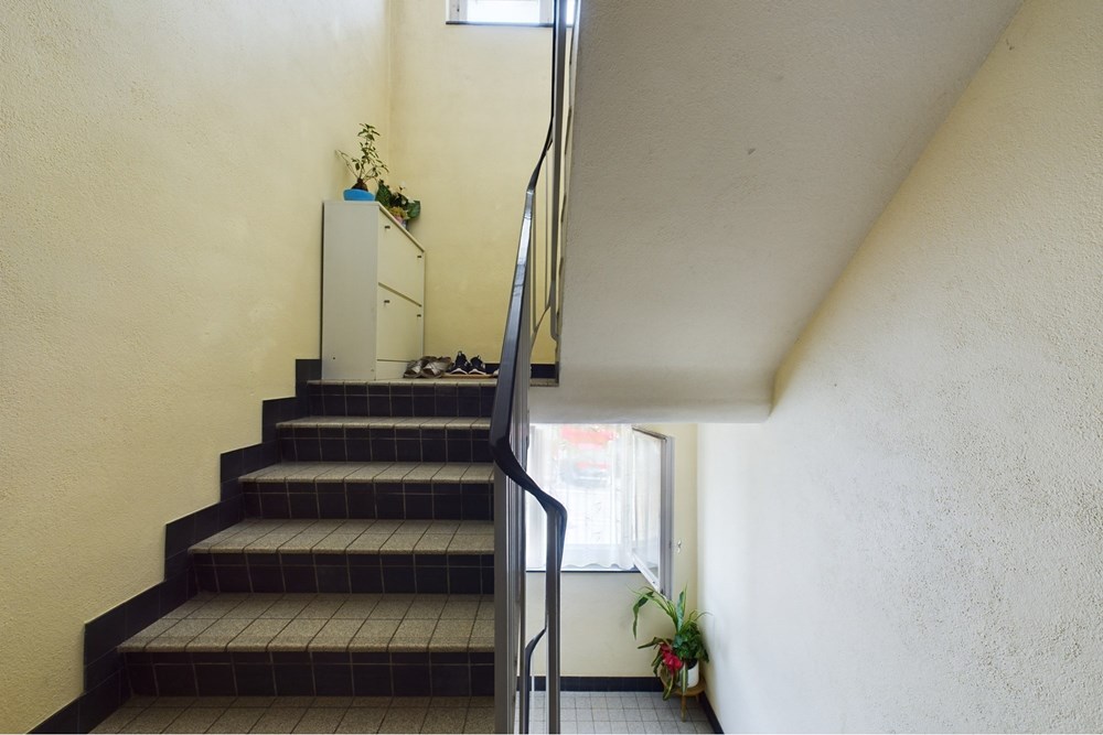 Mehrfamilienhaus - Kauf - Gommiswald, St. Gallen - CAM01533G0-PR0041-STILL017.jpg - 118471013-251