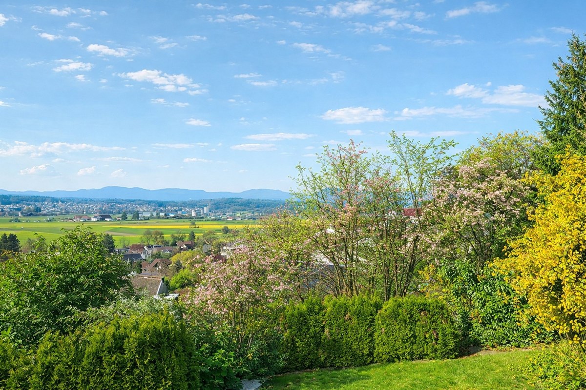 Reihenhaus - Kauf - Hirschthal, Aargau - F_Aussicht_Parz 299_Rebhalde_Hirschthal 5042_Entwurf 20260210_chatgpt Sommer.jpg - 119841002-99