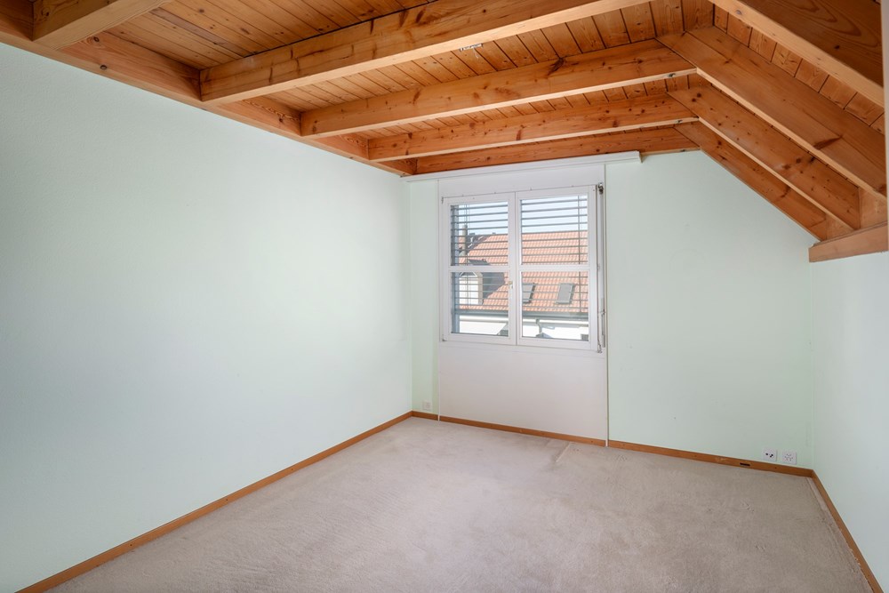 Maisonette - Kauf - Zürich, Zürich - 001 - Im Tiergarten 45, 8055 Zürich (Daniel Blake Fotografie).jpg - 111281001-47