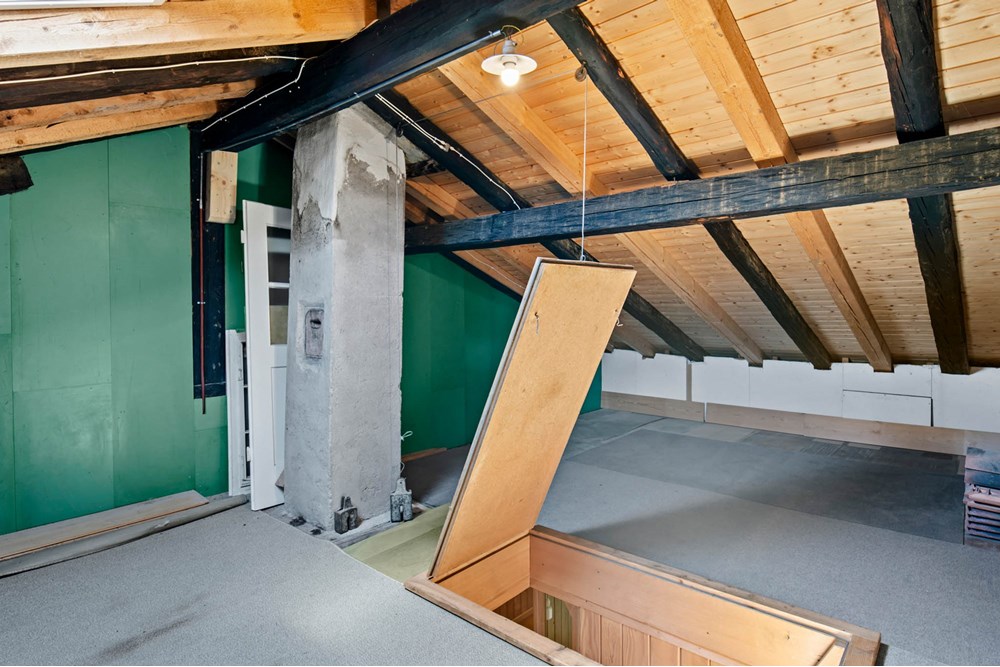 Doppelhaushälfte - Kauf - Fischenthal, Zürich - 028 - Tösstalstrasse 333, 8497 Fischenthal (Daniel Blake Fotografie).jpg - 110460007-1289