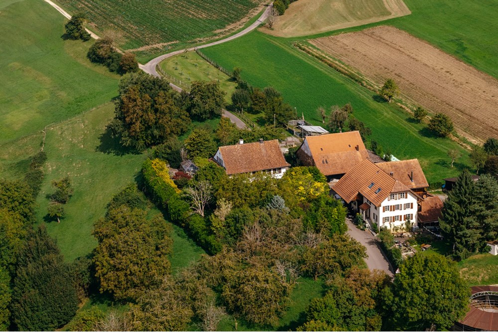 Residential - House - Eggenwil, Aargau - CH - HOFORSTRASSE-3.jpg - 118921009-359