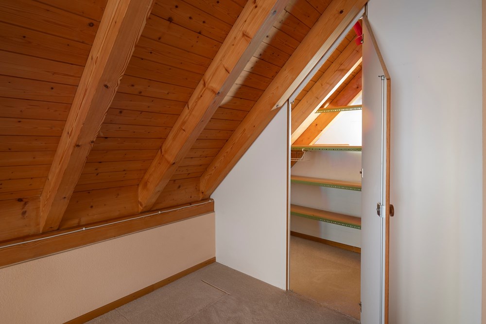 Maisonette - Kauf - Zürich, Zürich - 011 - Im Tiergarten 45, 8055 Zürich (Daniel Blake Fotografie).jpg - 111281001-47