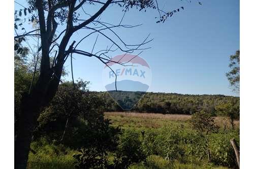 For Sale-Land-Paraguay Cordillera Caacupé-143054100-3