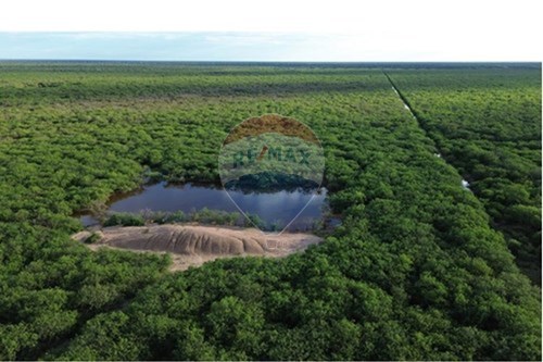 CAMPO EN ALQUILER