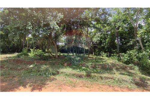 For Sale-Land-Paraguay Central Luque Zárate Isla  Ykua Roty  -  Costa Esmeralda  - -143082009-125