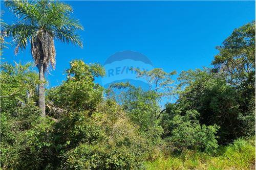 For Sale-Land-Paraguay Cordillera Caacupé  Tapé Tuyá casi San Juan Bautista  -  Cerro Real  - -143014133-62