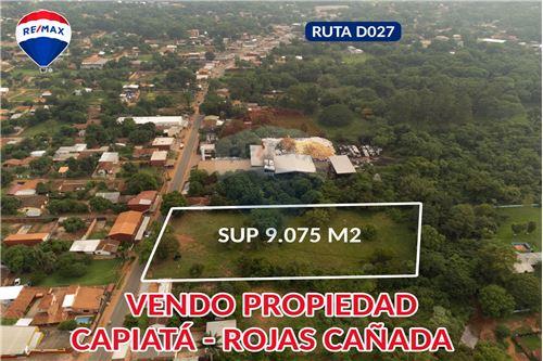 For Sale-Land-Paraguay Central Capiata  Ruta Departamental Rojas Cañada  -  Ruta Departamental Rojas Cañada  - -143092004-41