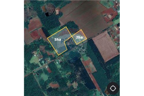 מכירה-אדמה-פרגוואי Itapúa Capitán Miranda  CALLE A  -  A 1600M DE RUTA 6 SOBRE CALLE A  - -143085019-89