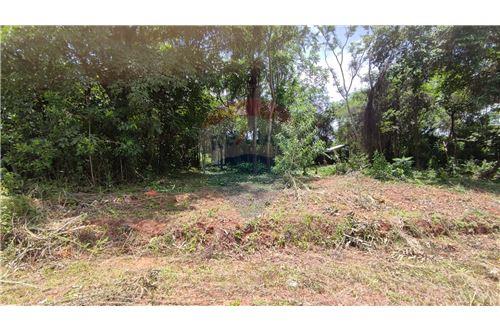 For Sale-Land-Paraguay Central Luque Zárate Isla  Ykua Roty  -  Costa Esmeralda  - -143082009-126