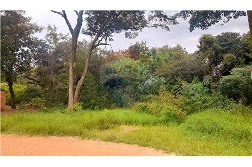 For Sale-Land-Paraguay Central Mariano Roque Alonso  San Ramon  -  San Ramon casi EE.UU  - -143059010-32
