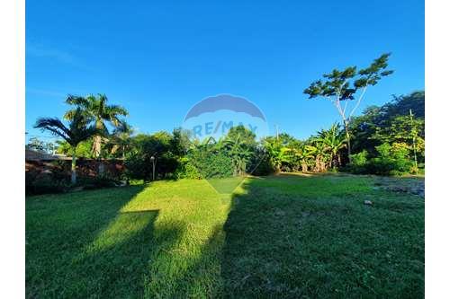 For Sale-Land-Paraguay Central Mariano Roque Alonso-143014133-68