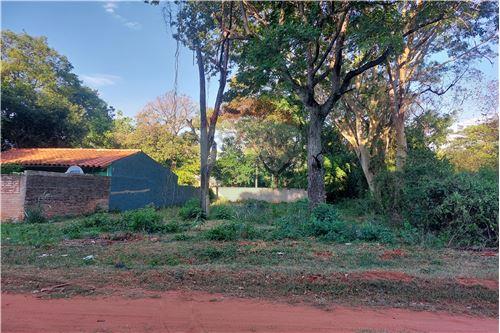 Prodamo-Nezazidljivo zemljišče-Paragvaj Central Luque Zárate Isla  Calle 8  -  Calle 8 casi Pedro N. Torres Zarate  - -143017062-76