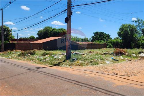 ขาย-ที่ดิน-Paraguay กลาง Luque Maka'i  CALLE 5 Y TOMAS OZUNA  -  CALLE 5 Y TOMAS OZUNA  - -143063128-124