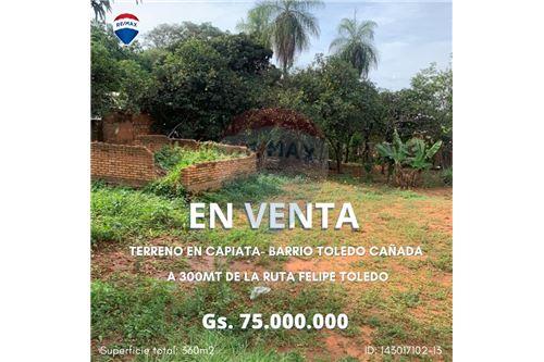 Venta-Terreno-Paraguay Central Capiata  SIN NOMBRE  -  TOLEDO CAÑADA  - -143017102-13
