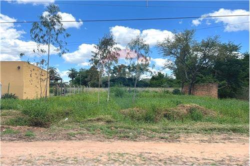 For Sale-Land-Paraguay Cordillera San Bernardino  Naumann  -  Naumann  - -143063104-110