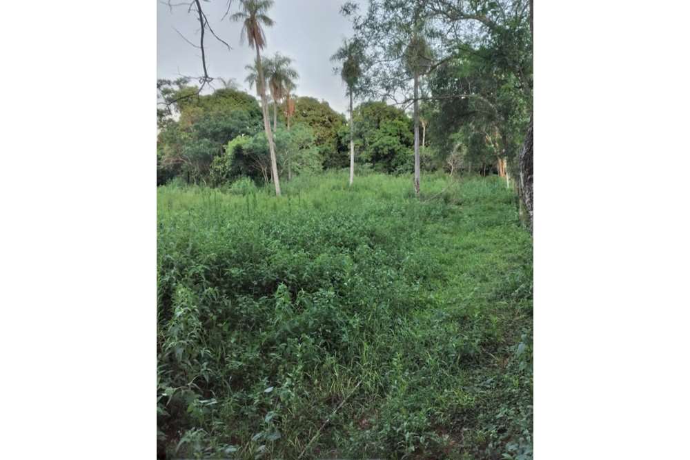 Land For Sale Paraguay Paraguarí Yaguarón 1430800939 , RE/MAX