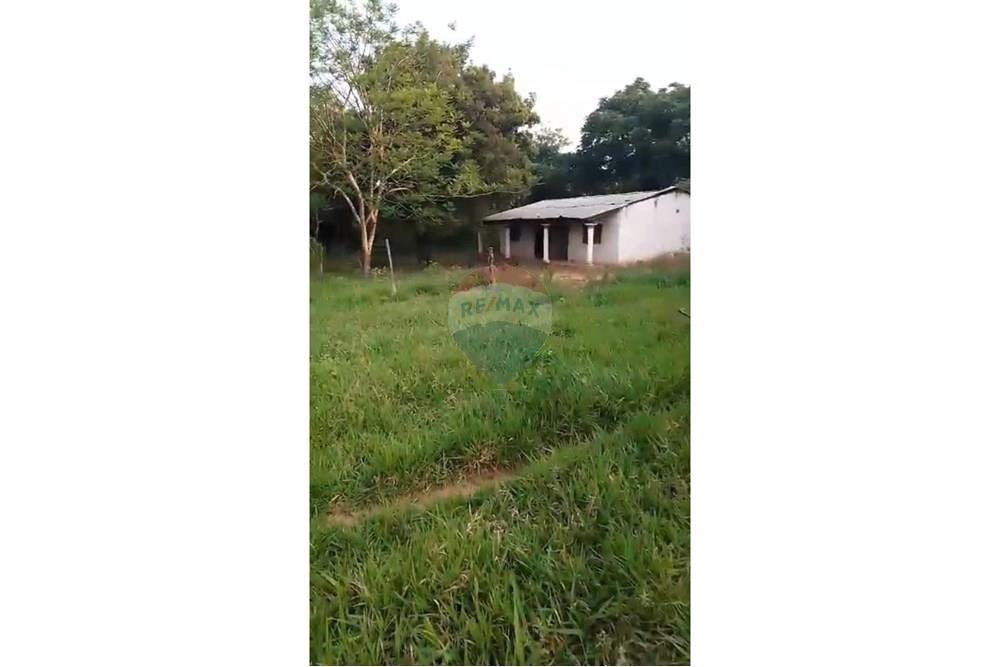 Commercial - Farm - Paraguay Paraguarí Ybycuí - PY - Foto 04.jpeg - 143050103-33