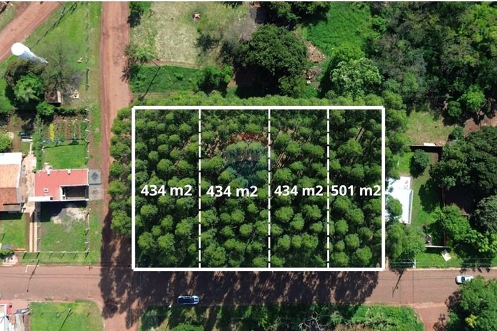 Commercial - Zemljišče - Paragvaj Itapúa Cambyretá - PY - WhatsApp Image 2025-10-07 at 10.48.04 AM (2).jpeg - 143011097-15