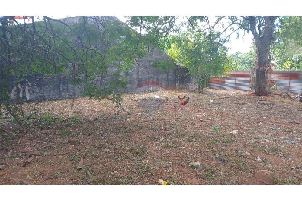 Mieszkaniowa - Działka - Paragwaj Central San Lorenzo - PY - 11 - 143025148-165