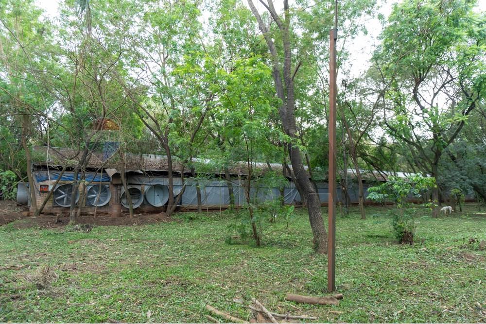 Commercial - Agricultural Farm - Paraguay Cordillera Itacurubí De La Cordillera - PY - FOTO1 (11 de 42).jpg - 143050097-75