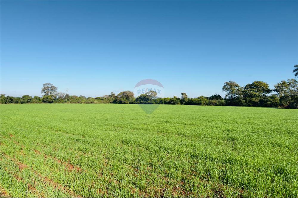 Mieszkaniowa - Działka - Paragwaj Itapúa Cambyretá - PY - 13 - 143011030-221