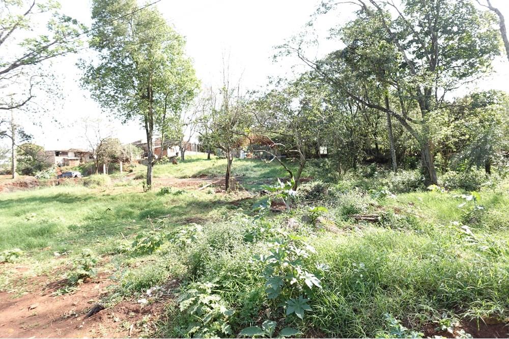 Residential - Land - Paraguay Alto Paraná Minga Guazú - PY - DSC00324.JPG - 143050081-118