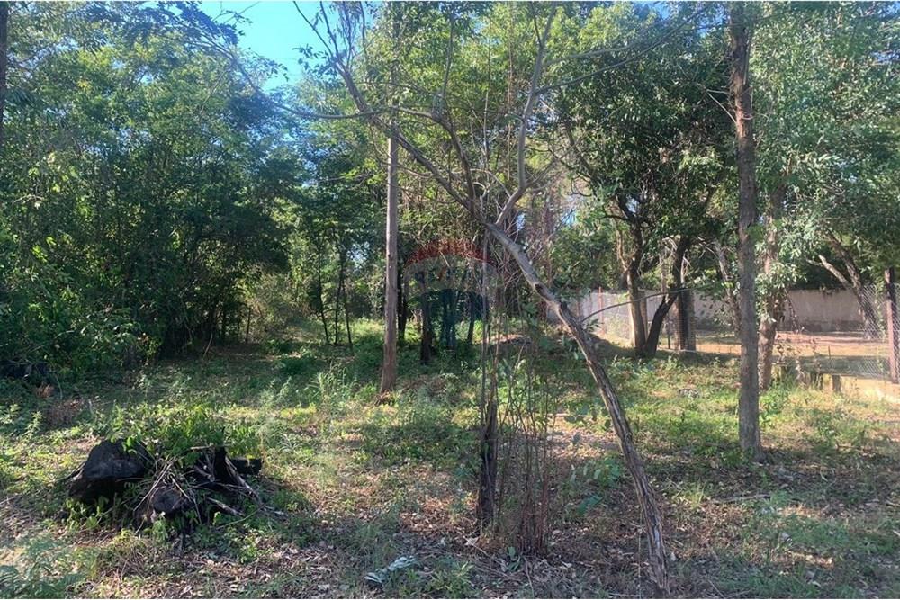 Residential - Land - Paraguay Cordillera San Bernardino - PY - PHOTO-2024-07-16-12-12-54 (1).jpg - 143063105-89