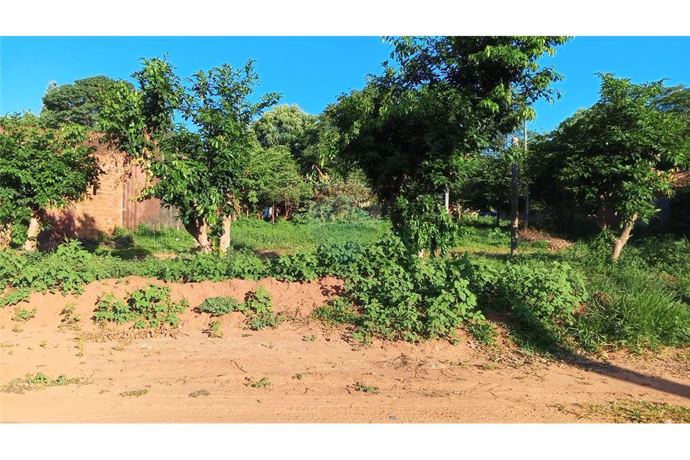 Terreno - Venta - Paraguay Central Capiata - 24 - 143026092-50