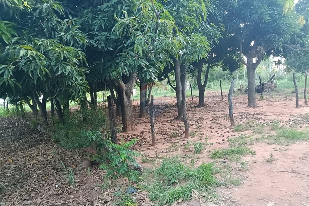 Terreno - Venta - Paraguay Central Aregua - WhatsApp Image 2025-02-06 at 4.43.50 PM.jpeg - 143095028-5