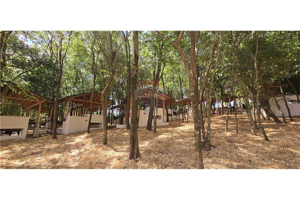 Residential - 땅 - Paraguay Itapúa San Juan Del Paraná - PY - 15 - 143011003-442