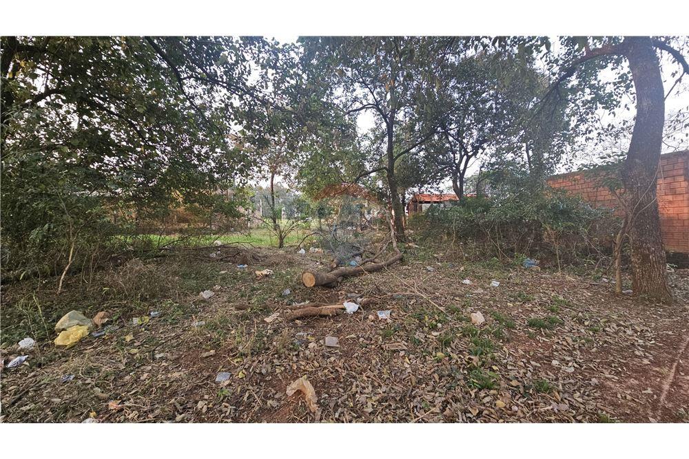 Rezidential - Teren - Paraguay Caaguazú Caaguazú - PY - 12 - 143014170-31