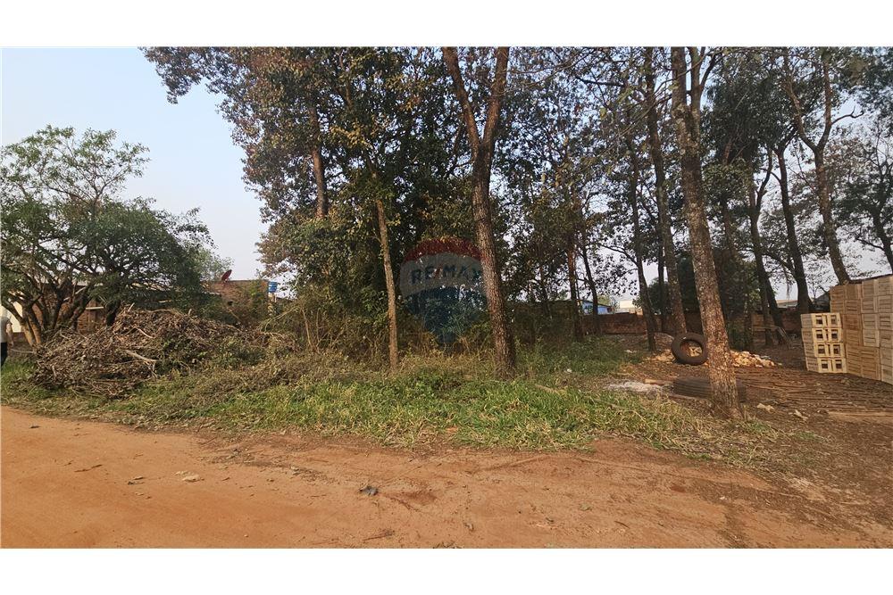Rezidential - Teren - Paraguay Caaguazú Caaguazú - PY - 10 - 143014170-31