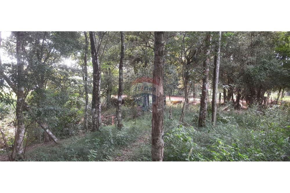 Residential - Land - Paraguay Alto Paraná Minga Guazú - PY - 11 - 143050095-24