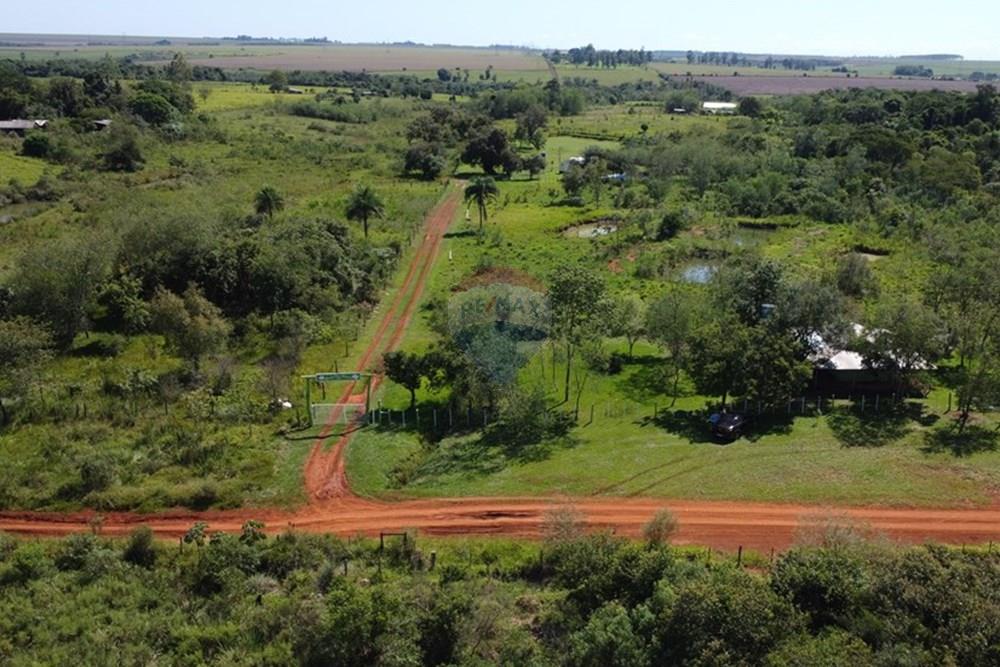Commercial - Farm - Paraguay Alto Paraná Hernandarias - PY - DJI_0951.JPG - 143050154-21