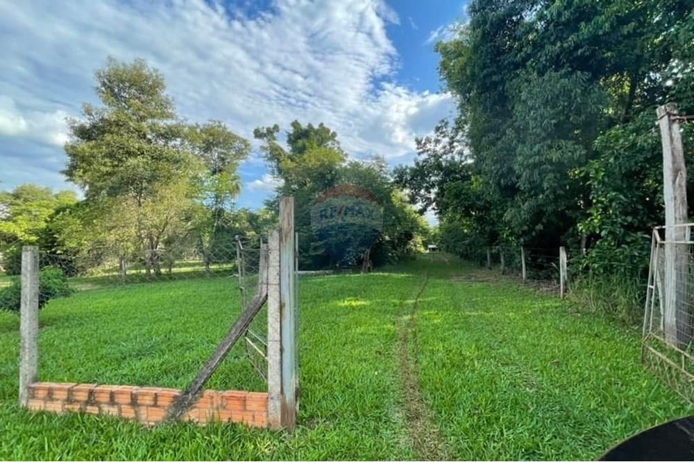 Residential - Land - Paraguay Alto Paraná Hernandarias - PY - WhatsApp Image 2025-05-16 at 7.33.05 AM (3).jpeg - 143050087-75
