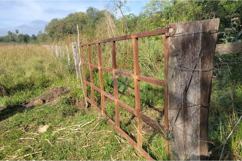 Finca Agrícola - Venta - Paraguay Caazapá Caazapá - 2.jpg - 143095004-83