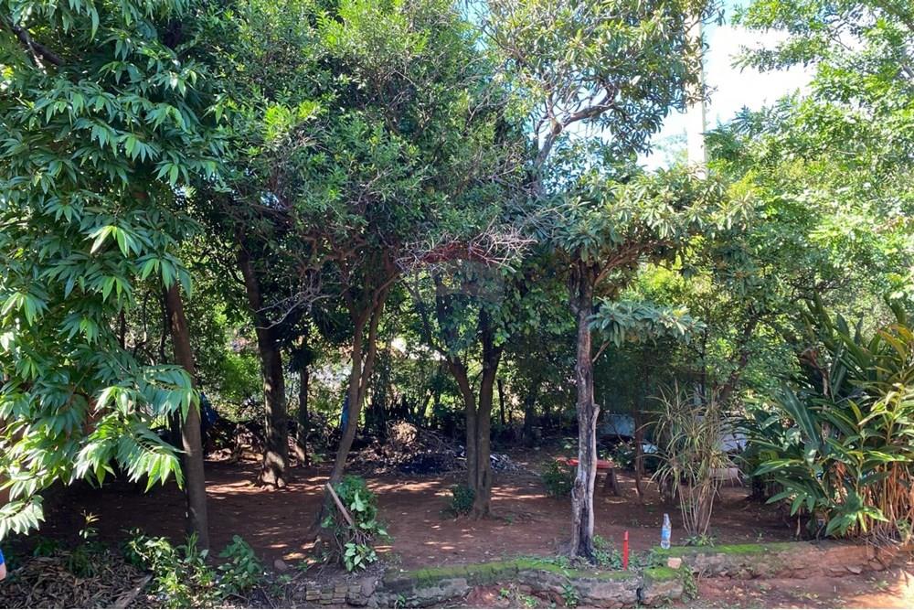 Жилищен - Поземлен имот - Парагвай Central San Lorenzo - PY - 01c32cc3-9a82-4ef9-b74e-d612a913d435.jpeg - 143080161-6