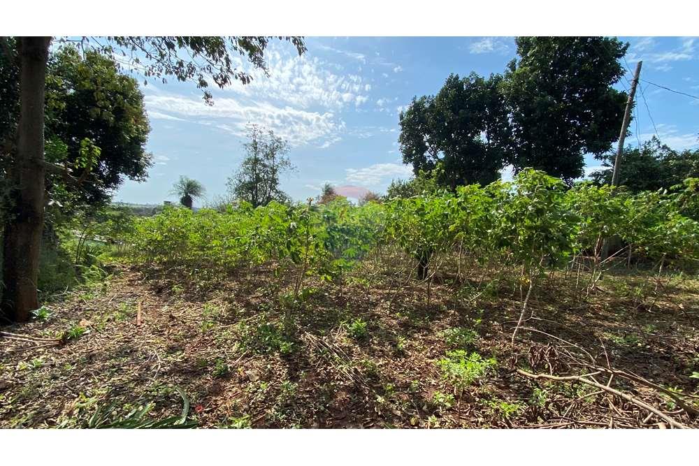 Residential - Jord - Paraguay Alto Paraná Minga Guazú - PY - IMG_6914.jpeg - 143050066-59