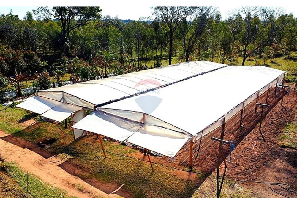 Commercial - Farm - Paraguay Guairá Natalicio Talavera - PY - 1 (3).jpg - 143050155-14