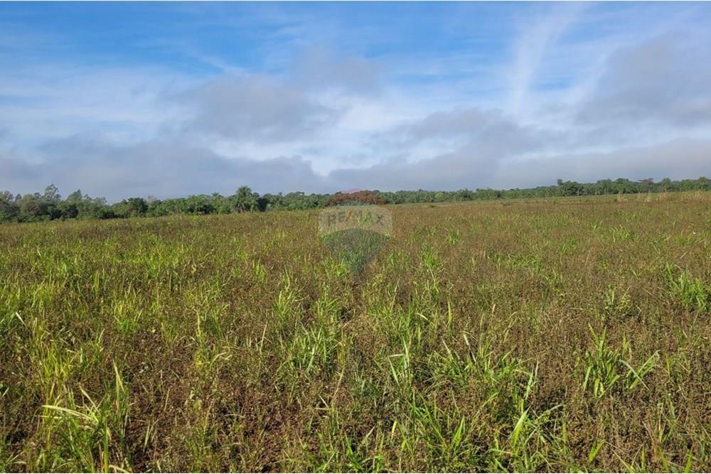 Finca Agrícola - Venta - Paraguay Caazapá Caazapá - 7.jpg - 143095004-83