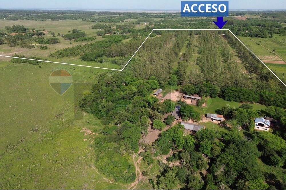 Commercieel - Boerderij - Paraguay Caaguazú Coronel Oviedo - PY - CALLE.jpg - 143050100-33