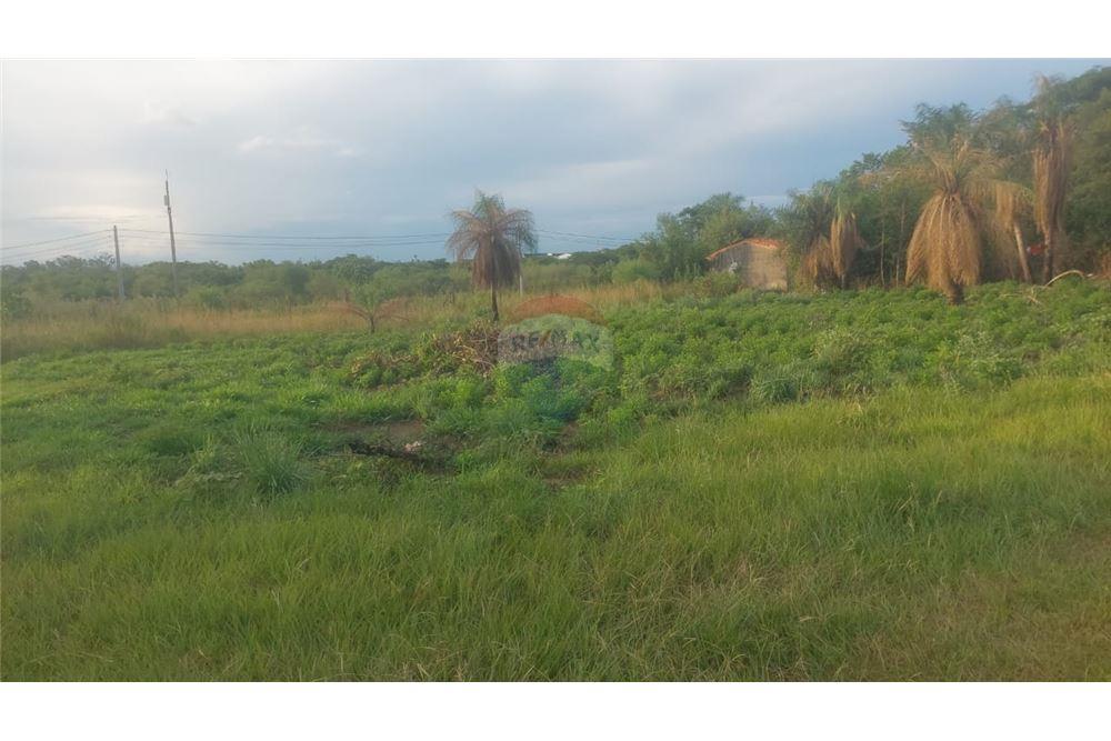 Woningbouw - Grond - Paraguay Central Ypané - PY - 9 - 143025177-5