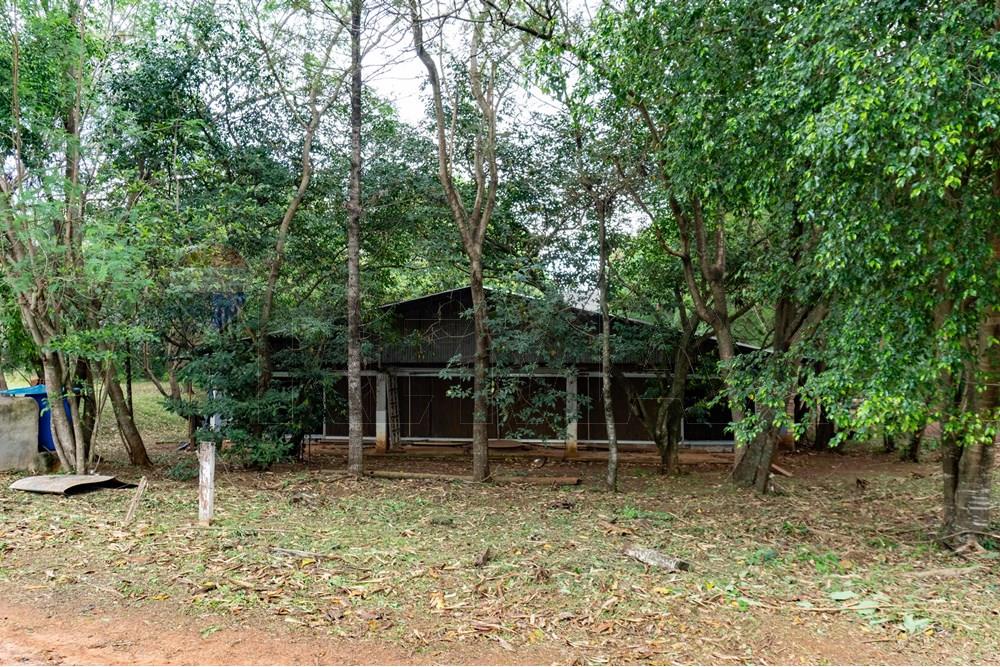 Commercial - Agricultural Farm - Paraguay Cordillera Itacurubí De La Cordillera - PY - FOTO1 (3 de 42).jpg - 143050097-75