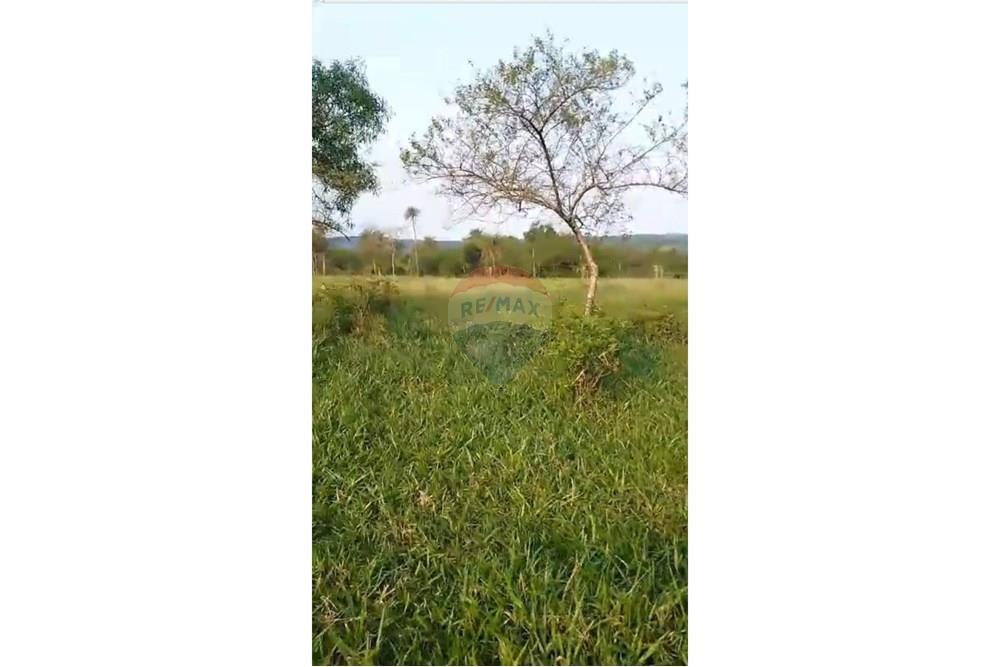 Commercial - Farm - Paraguay Paraguarí Ybycuí - PY - Foto 03.jpeg - 143050103-33