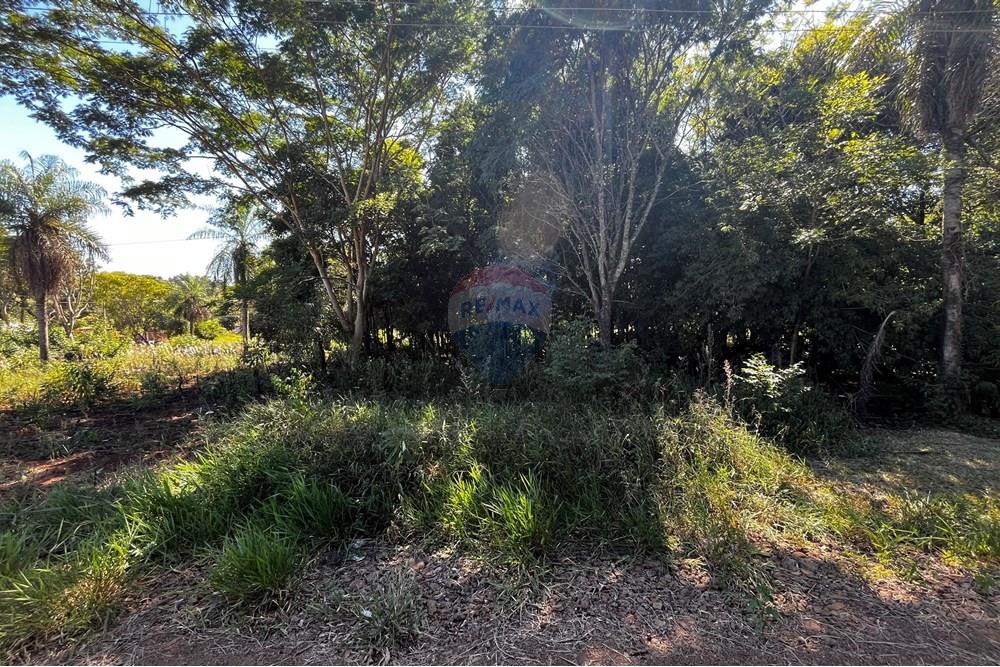 住宅 - 土地 - 巴拉圭 Itapúa Encarnación - PY - IMG_2062.jpg - 143011095-9