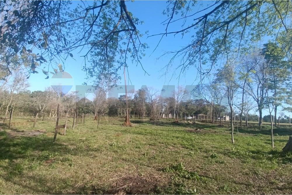 Residential - Land - Paraguay Alto Paraná Hernandarias - PY - WhatsApp Image 2026-01-10 at 10.43.26.jpeg - 143050055-130