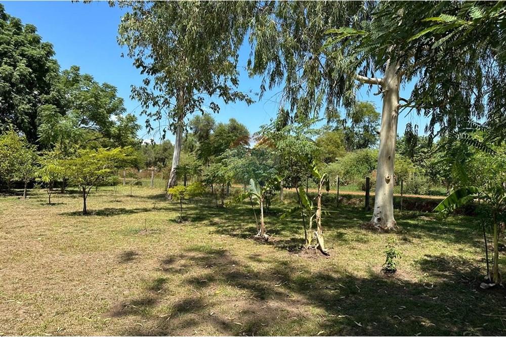 Terreno - Venta - Paraguay Cordillera Caraguatay - WhatsApp Image 2025-02-03 at 12.55.23.jpeg - 143095022-15