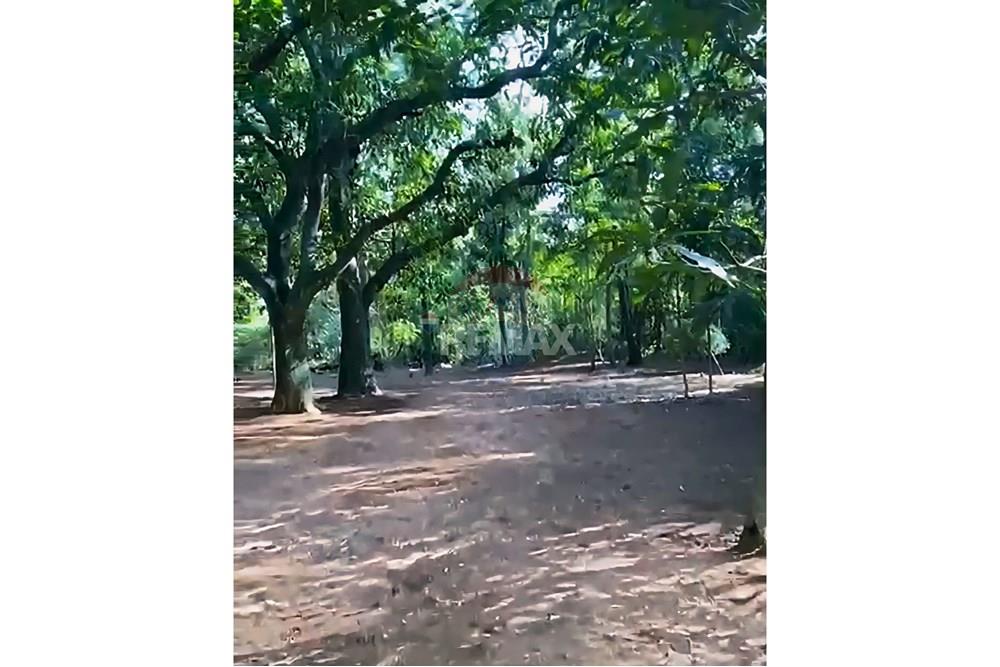 Rezidential - Teren - Paraguay Cordillera Tobatí - PY - IMG-20250819-WA0095.jpg - 143019095-21