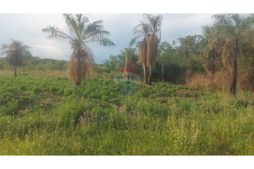 Woningbouw - Grond - Paraguay Central Ypané - PY - 10 - 143025177-5